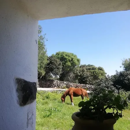 Sa Ruscitta לינה וארוחת בוקר 3*