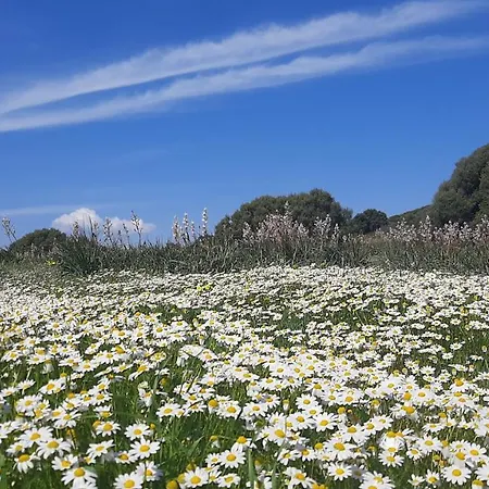 Sa Ruscitta SantʼAntìoco