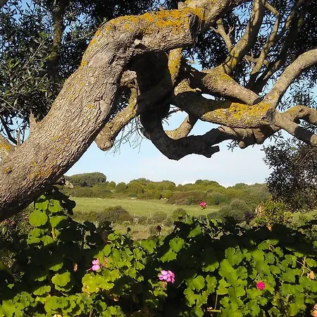 לינה וארוחת בוקר Sa Ruscitta 3*