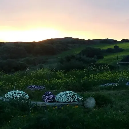Bed and breakfast Sa Ruscitta