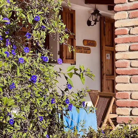 Bed and breakfast Sa Ruscitta
