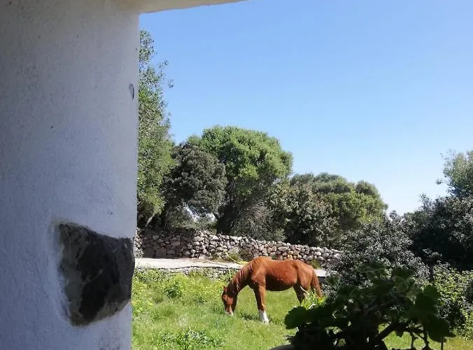 Sa Ruscitta Panzió 3*