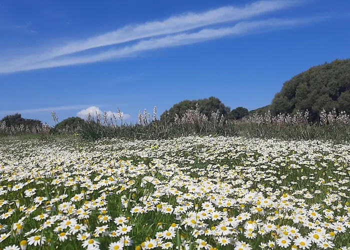 Sa Ruscitta SantʼAntìoco