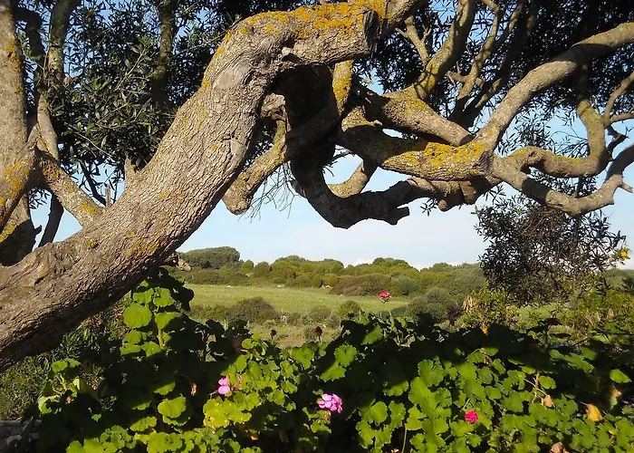 Panzió Sa Ruscitta 3*