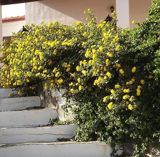 Sa Ruscitta Panzió SantʼAntìoco